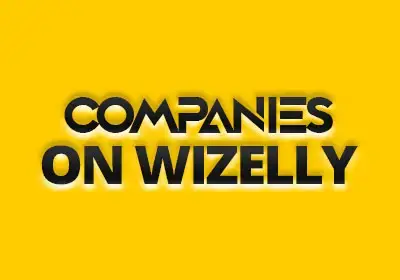 Wizelly-Loading-Logo2.webp