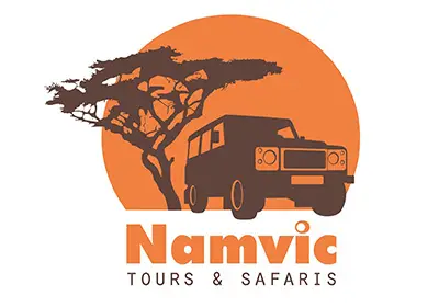 Namvic