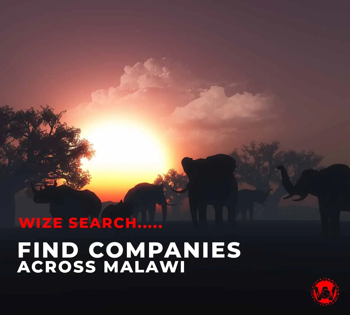 Wize Malawi