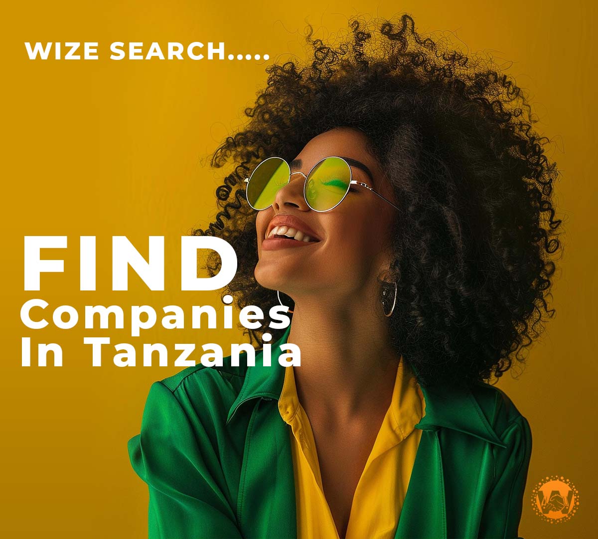 Wize load Tanzania